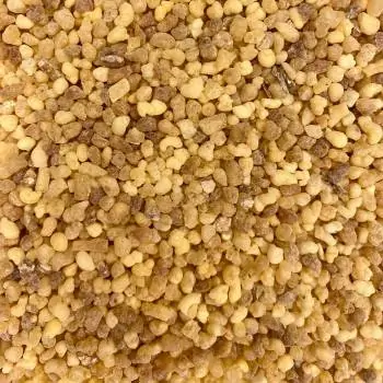 Близък план на купчина семена от Тамян Olibanum Eritrea (Boswellia).