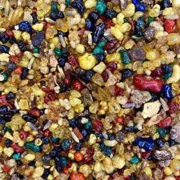 Близък план на купчина семена на Тамян Глория.